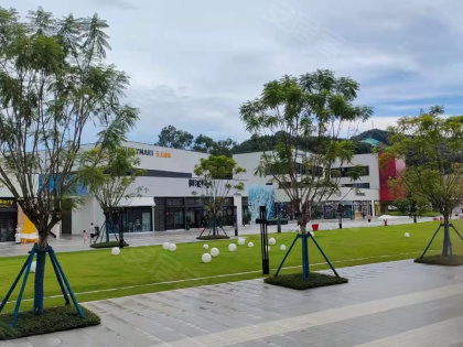 省紡織廠宿舍居住體驗全解析 優勢、不足、物管與周邊中介評價