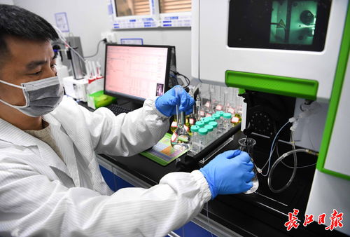 武漢中小企業借腦高校，以專精特新勁頭角逐信息技術賽道